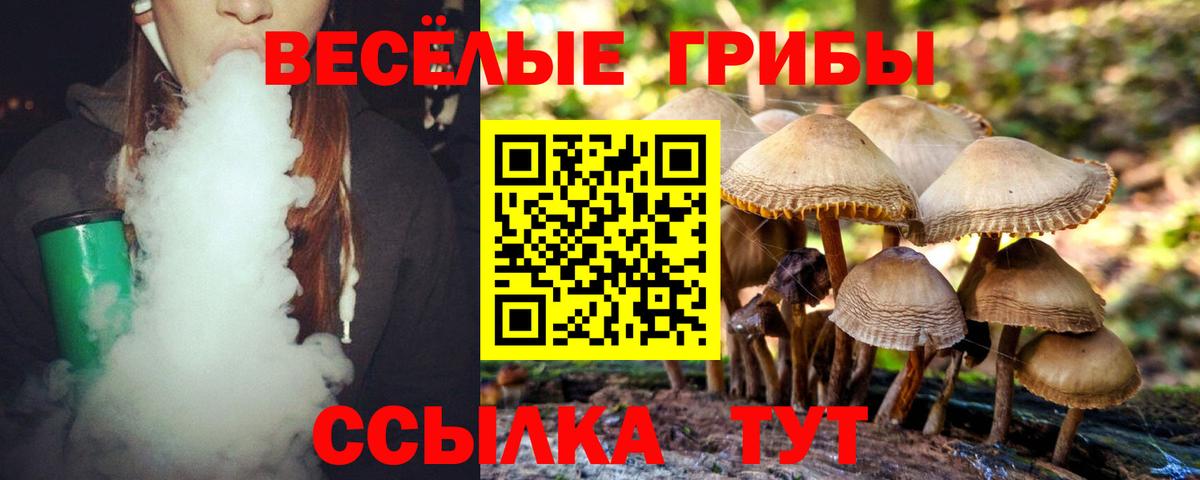 Псилоцибиновые грибы мицелий  Вход с VPN  Минеральные Воды  Галлюциногенные грибы ЛСД 